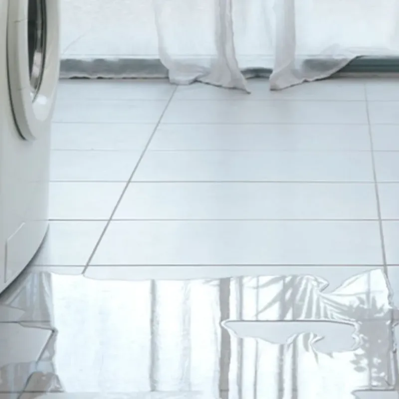 Appliance Leak Cleanup in Lyndhurst, VA