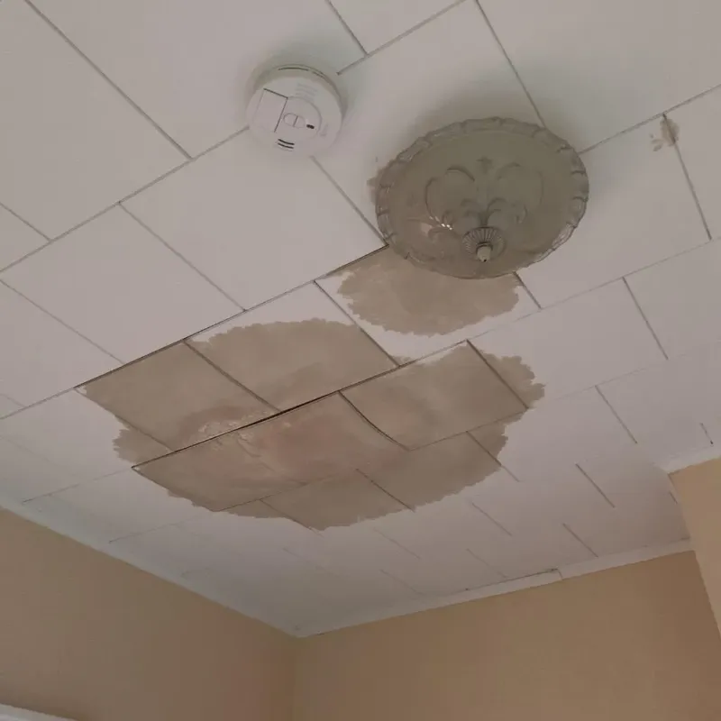 Ceiling Water Damage Repair in Lyndhurst, VA