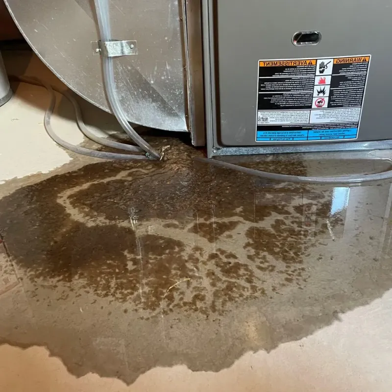 Pipe Burst and Leak Restoration in Lyndhurst, VA