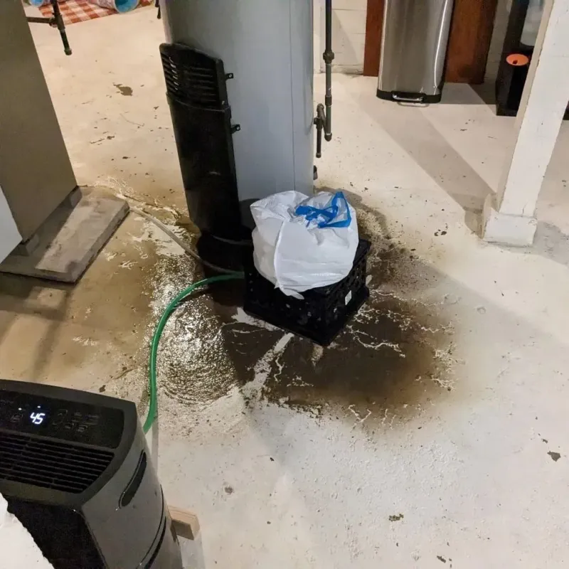 Sewage Backup Cleanup Service in Lyndhurst, VA